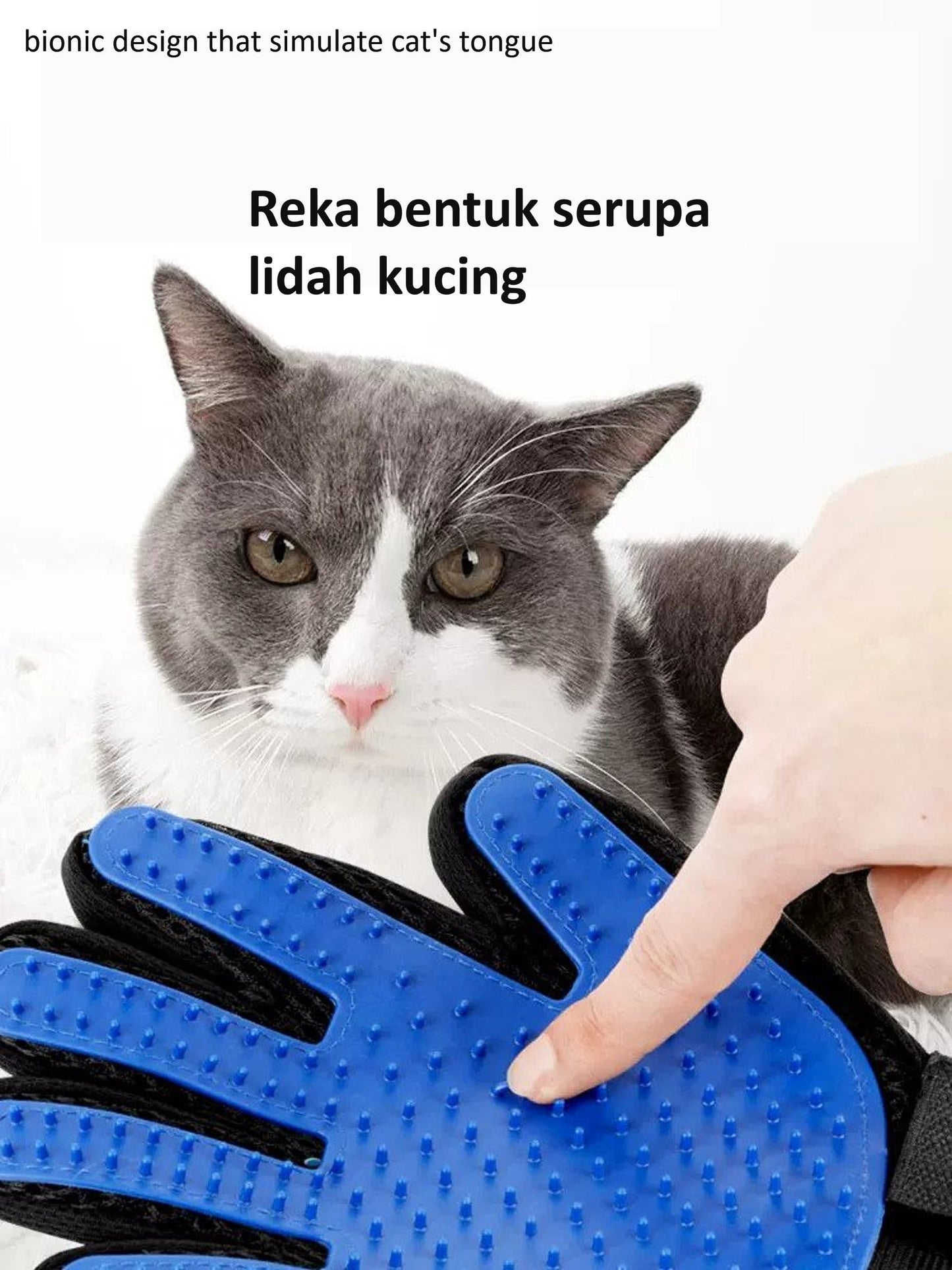 CAT MASSAGE GLOVE.